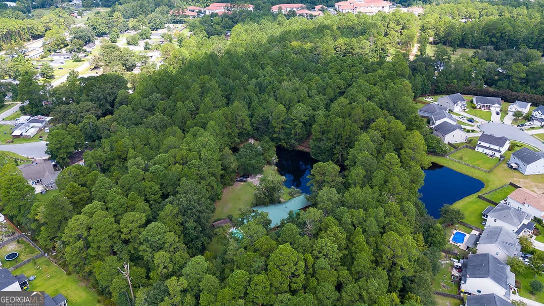3 bedroom, 3 bathroom, 4,000 sq ft single family residence for sale at 1335 Pine Barren Road, Pooler, GA 31322 — photo 2