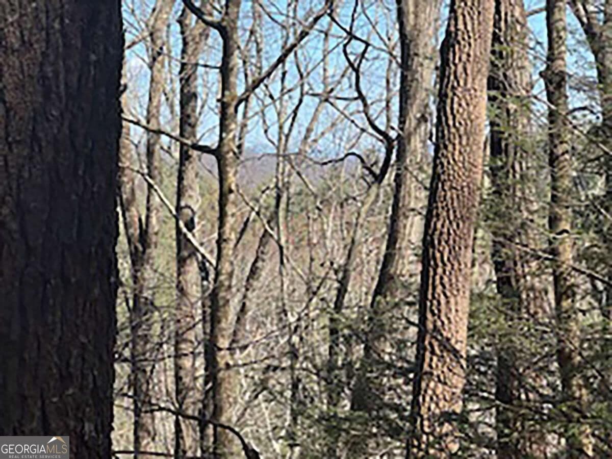unimproved land for sale at LOT 14 Butler Creek Road, Cherry Log, GA 30522 — photo 2
