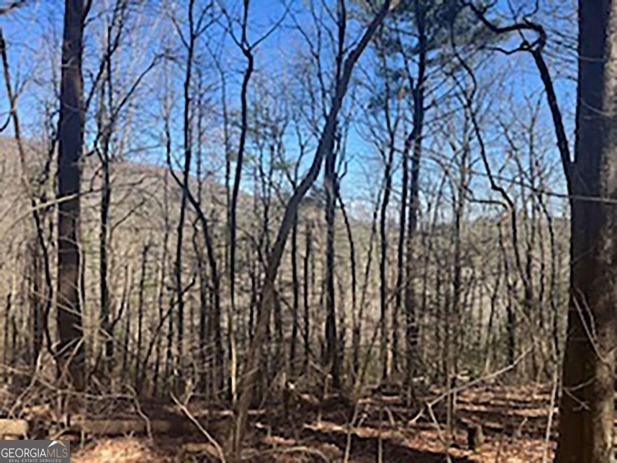 unimproved land for sale at LOT 14 Butler Creek Road, Cherry Log, GA 30522 — photo 6