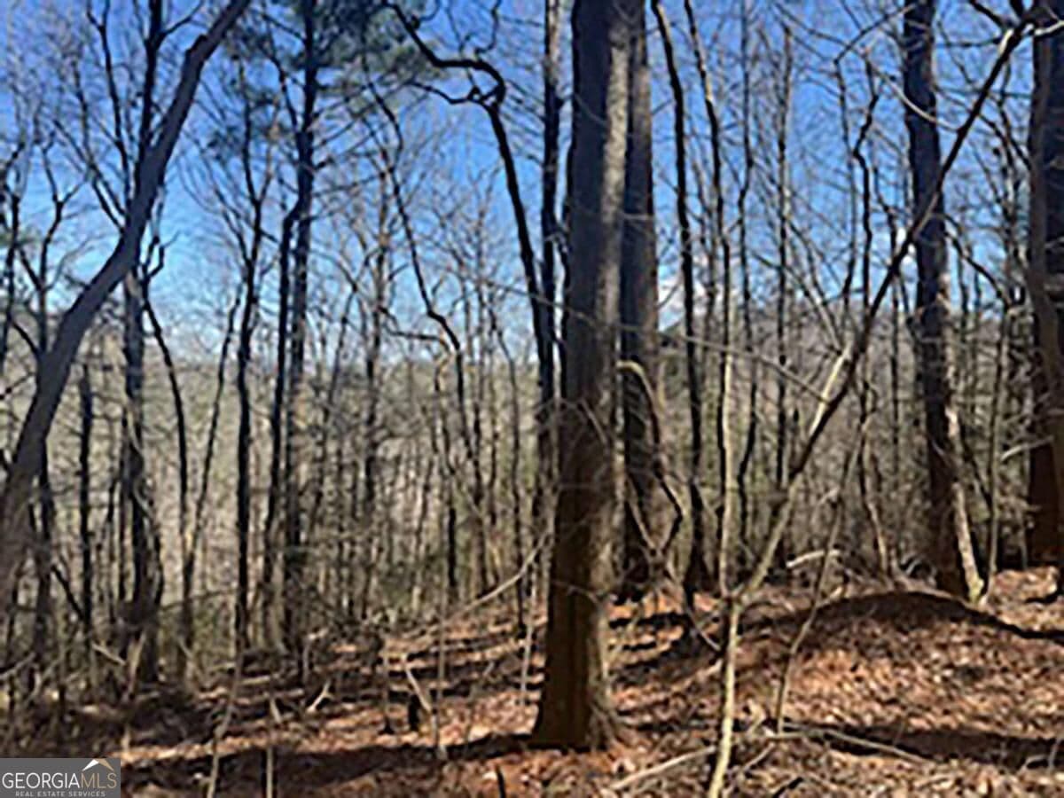 unimproved land for sale at LOT 14 Butler Creek Road, Cherry Log, GA 30522 — photo 7