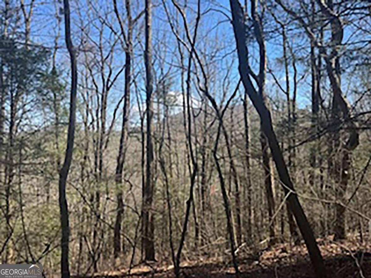 unimproved land for sale at LOT 14 Butler Creek Road, Cherry Log, GA 30522 — photo 3