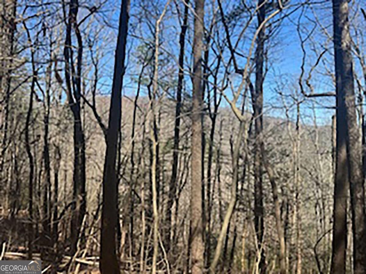 unimproved land for sale at LOT 14 Butler Creek Road, Cherry Log, GA 30522 — photo 1 of 8