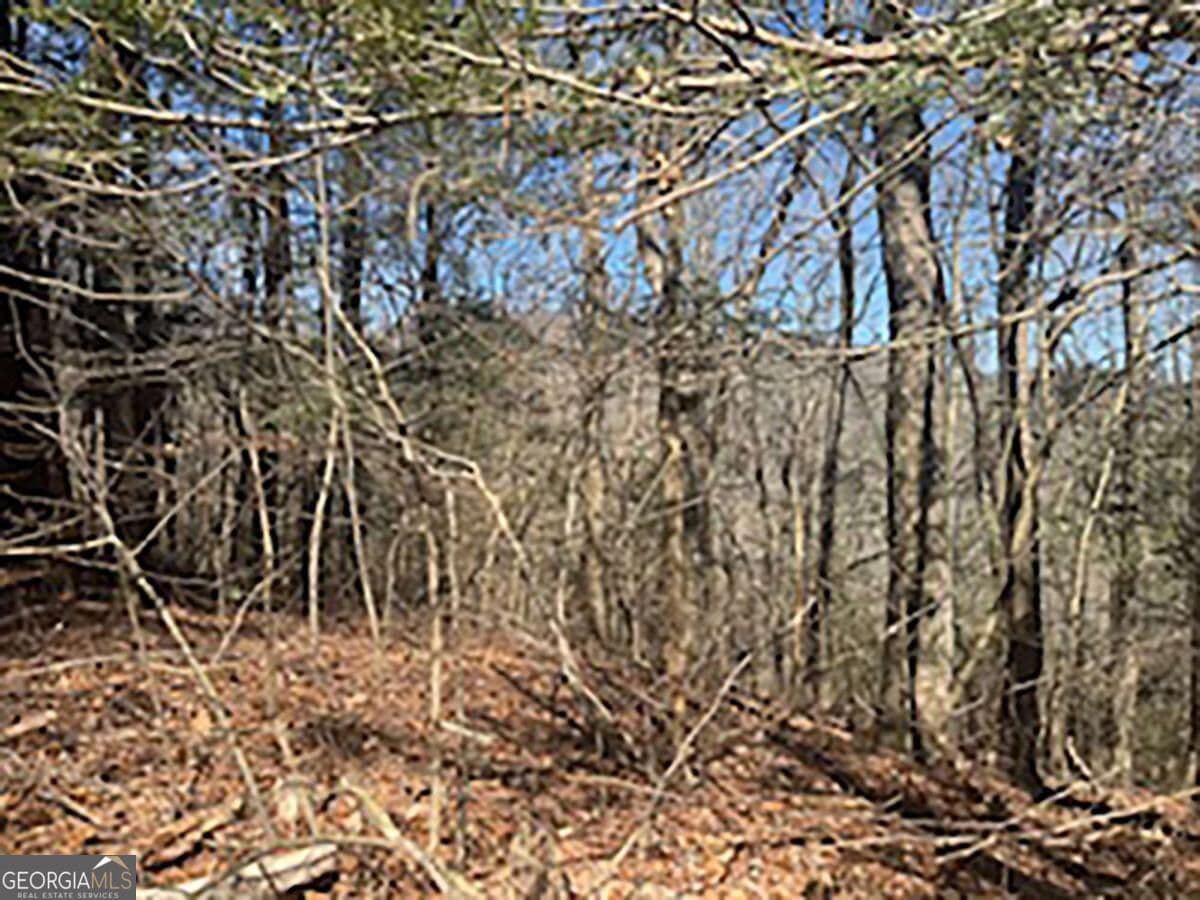 unimproved land for sale at LOT 14 Butler Creek Road, Cherry Log, GA 30522 — photo 5