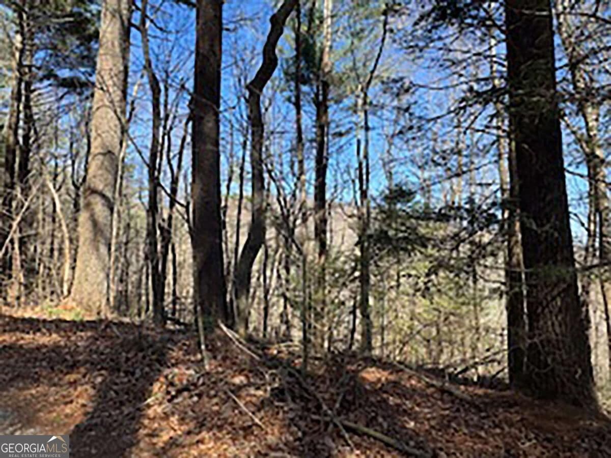unimproved land for sale at LOT 14 Butler Creek Road, Cherry Log, GA 30522 — photo 4