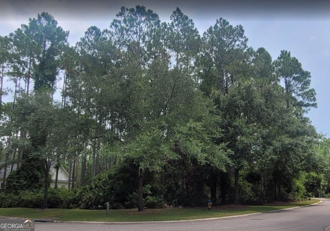 residential lot for sale at 100 Amberjack Loop, St. Marys, GA 31558 — photo 5