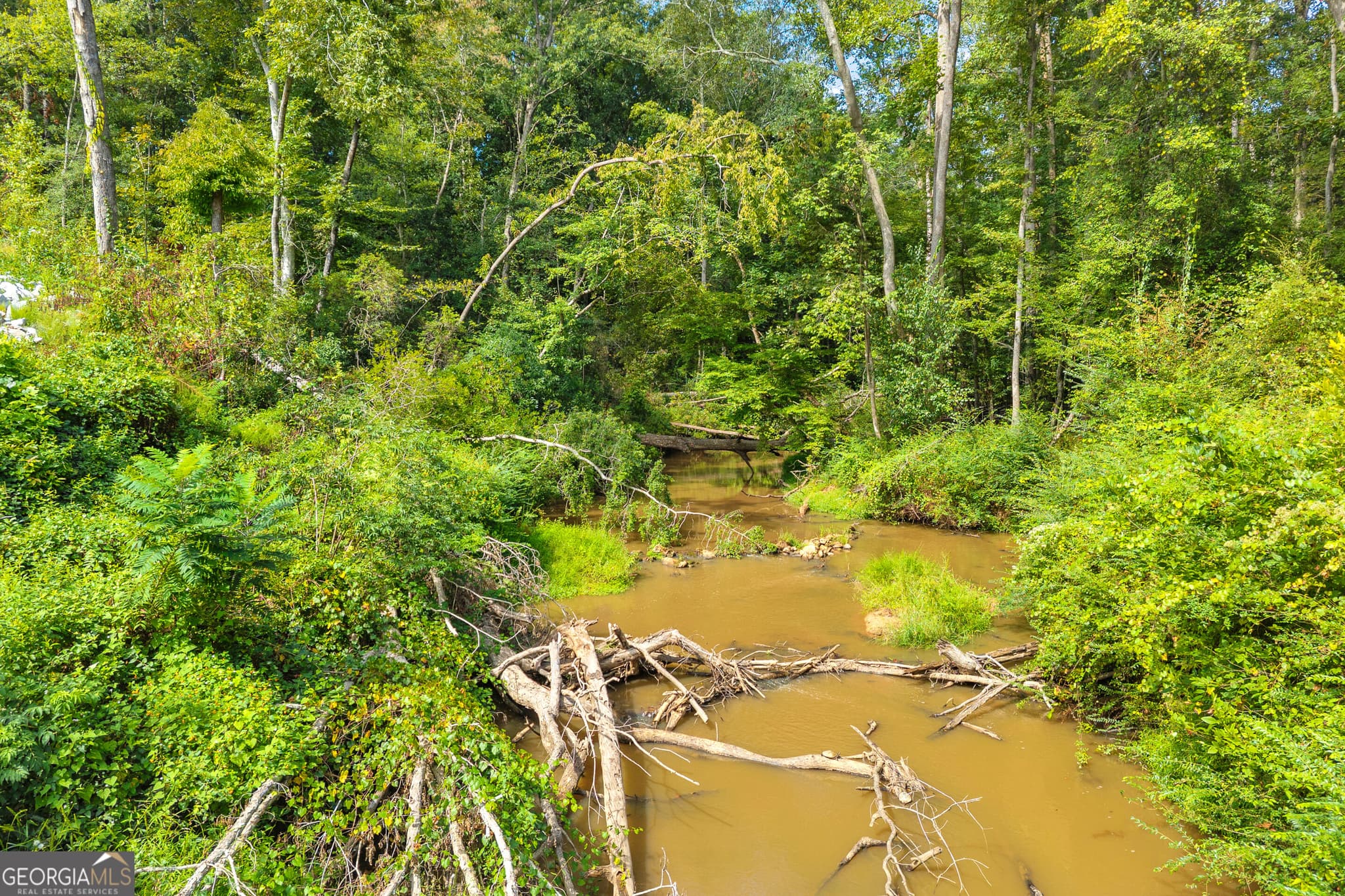 residential lot for sale at 550 Cokesbury Highway, Hartwell, GA 30643 — photo 9