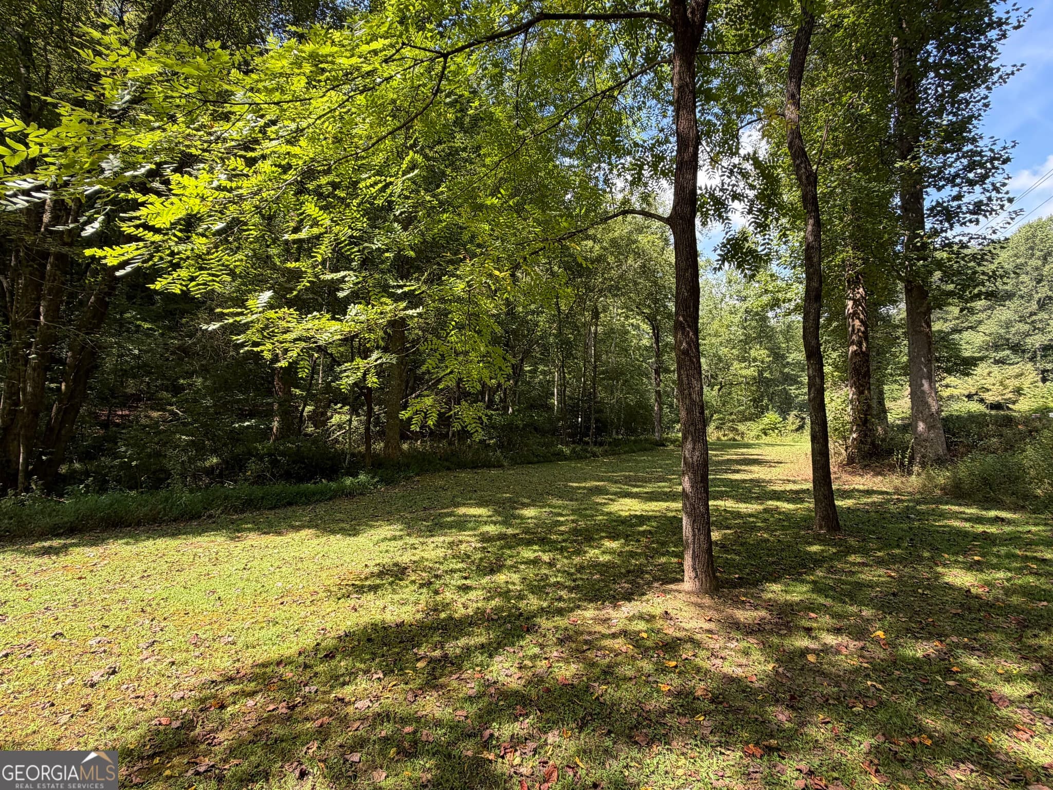 unimproved land for sale at 6.13 AC Lucius Road, Cherry Log, GA 30522 — photo 6