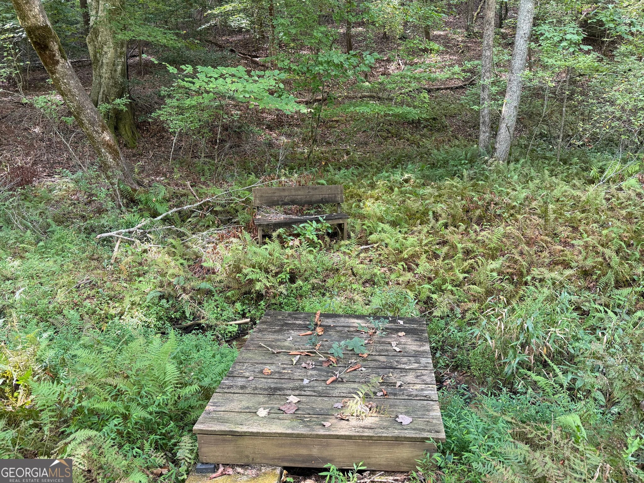 unimproved land for sale at 6.13 AC Lucius Road, Cherry Log, GA 30522 — photo 7