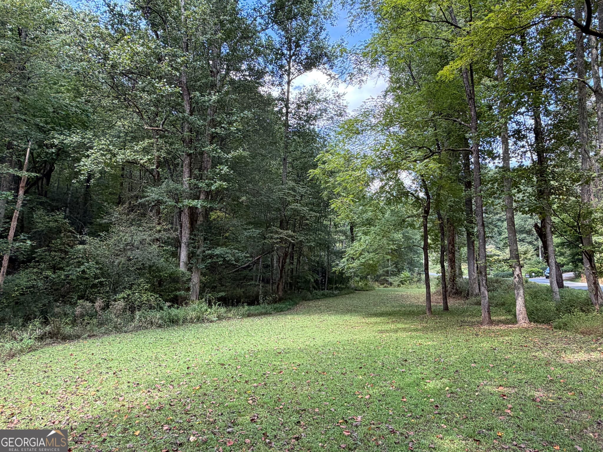 unimproved land for sale at 6.13 AC Lucius Road, Cherry Log, GA 30522 — photo 3