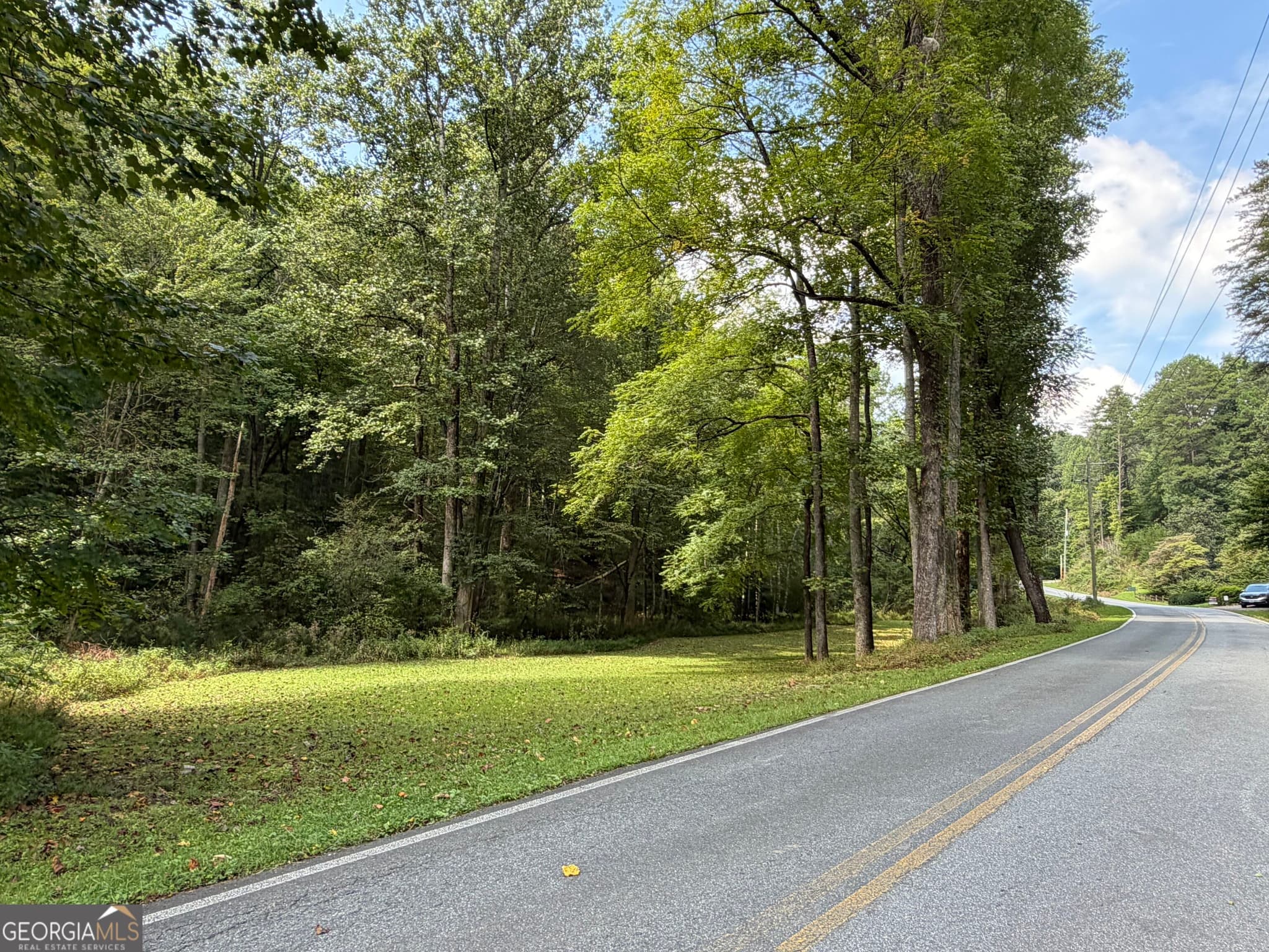 unimproved land for sale at 6.13 AC Lucius Road, Cherry Log, GA 30522 — photo 1 of 20