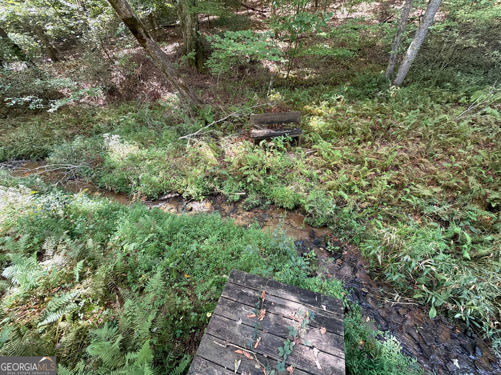 unimproved land for sale at 6.13 AC Lucius Road, Cherry Log, GA 30522 — photo 5