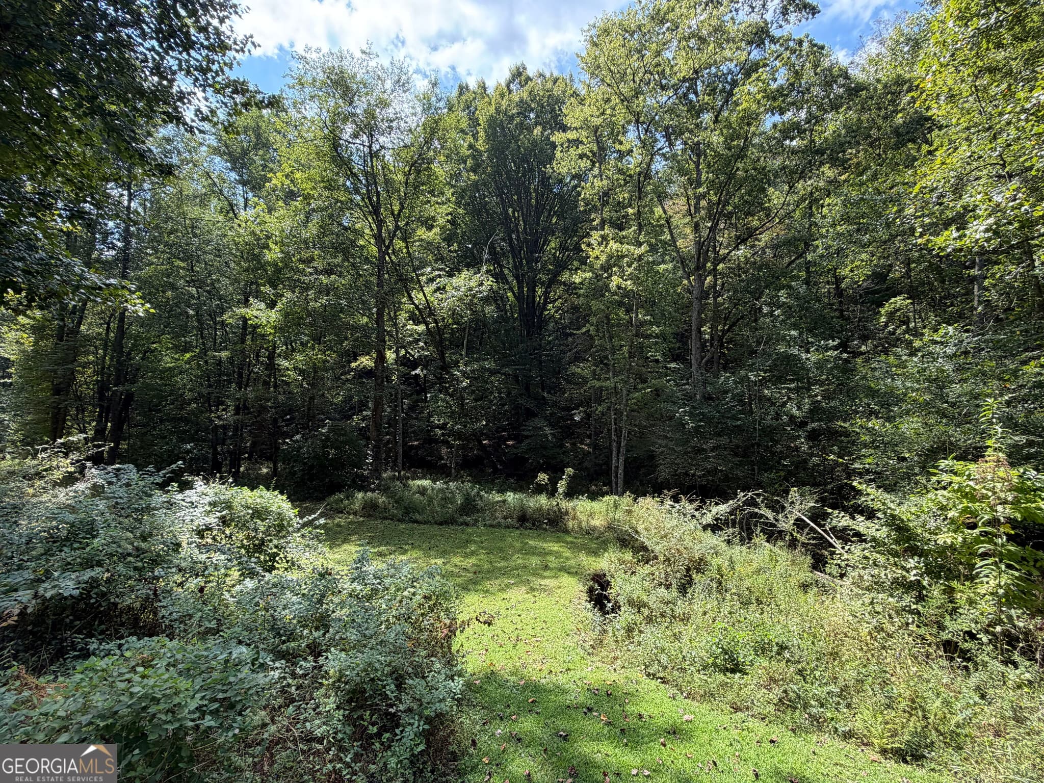 unimproved land for sale at 6.13 AC Lucius Road, Cherry Log, GA 30522 — photo 9