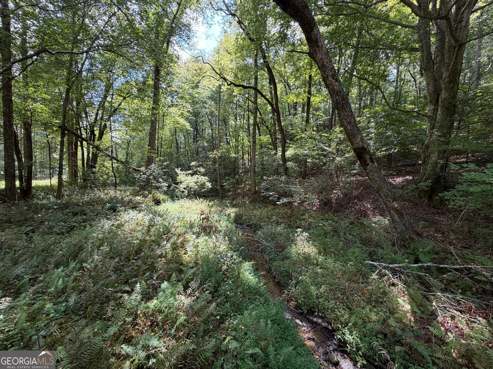unimproved land for sale at 6.13 AC Lucius Road, Cherry Log, GA 30522 — photo 4
