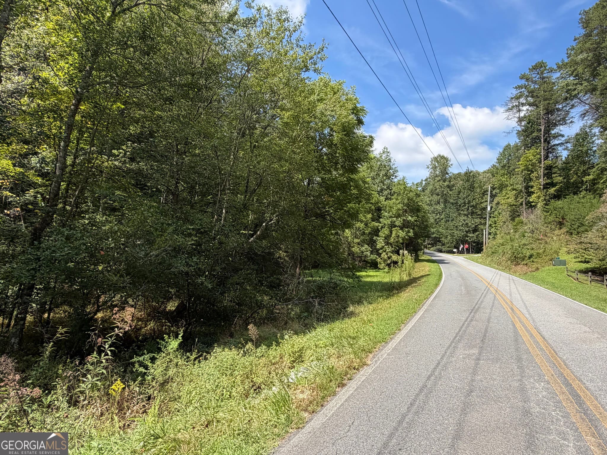 unimproved land for sale at 6.13 AC Lucius Road, Cherry Log, GA 30522 — photo 8