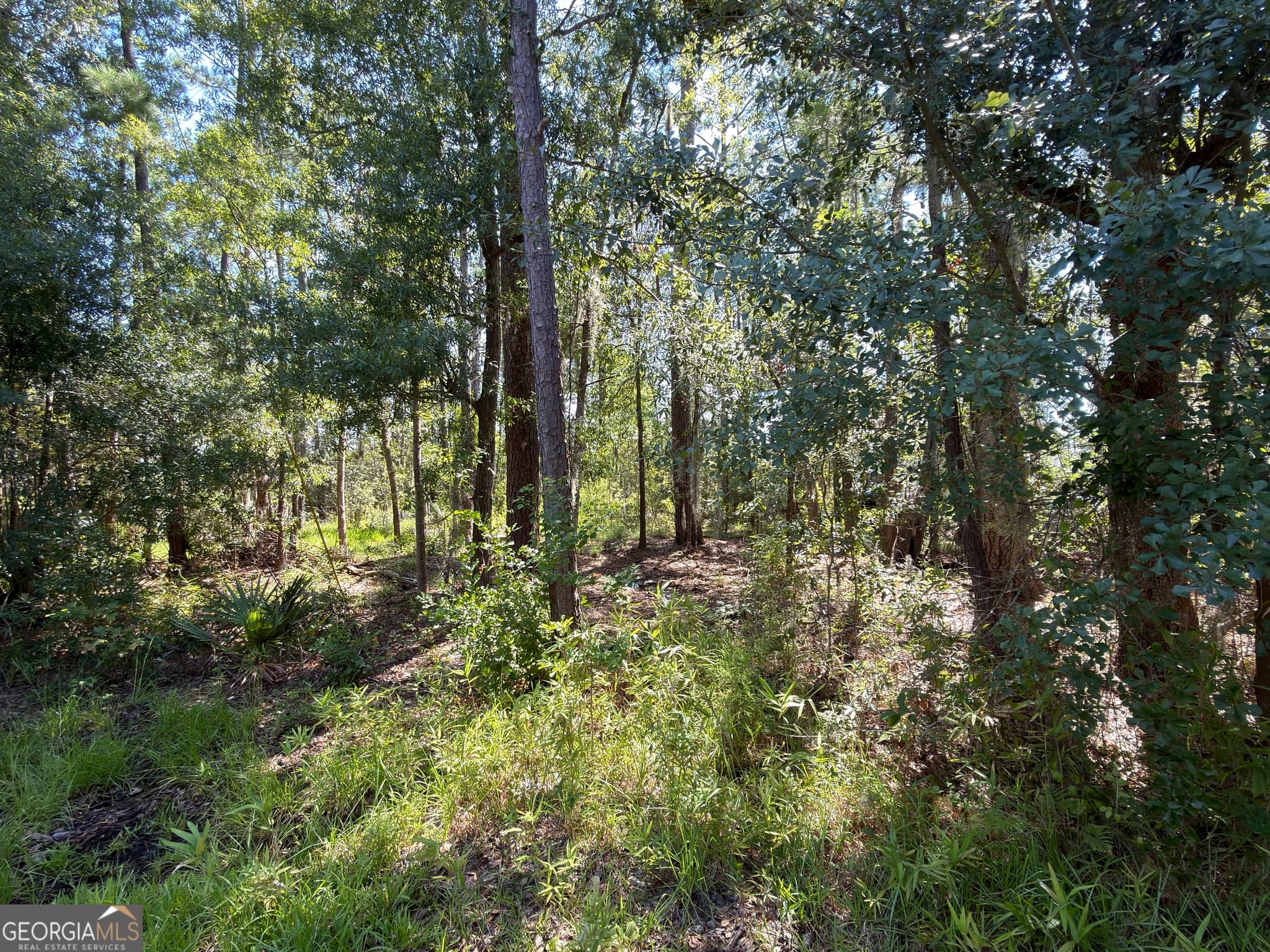 residential lot for sale at 0 Mallard Pond Road, Midway, GA 31320 — photo 2