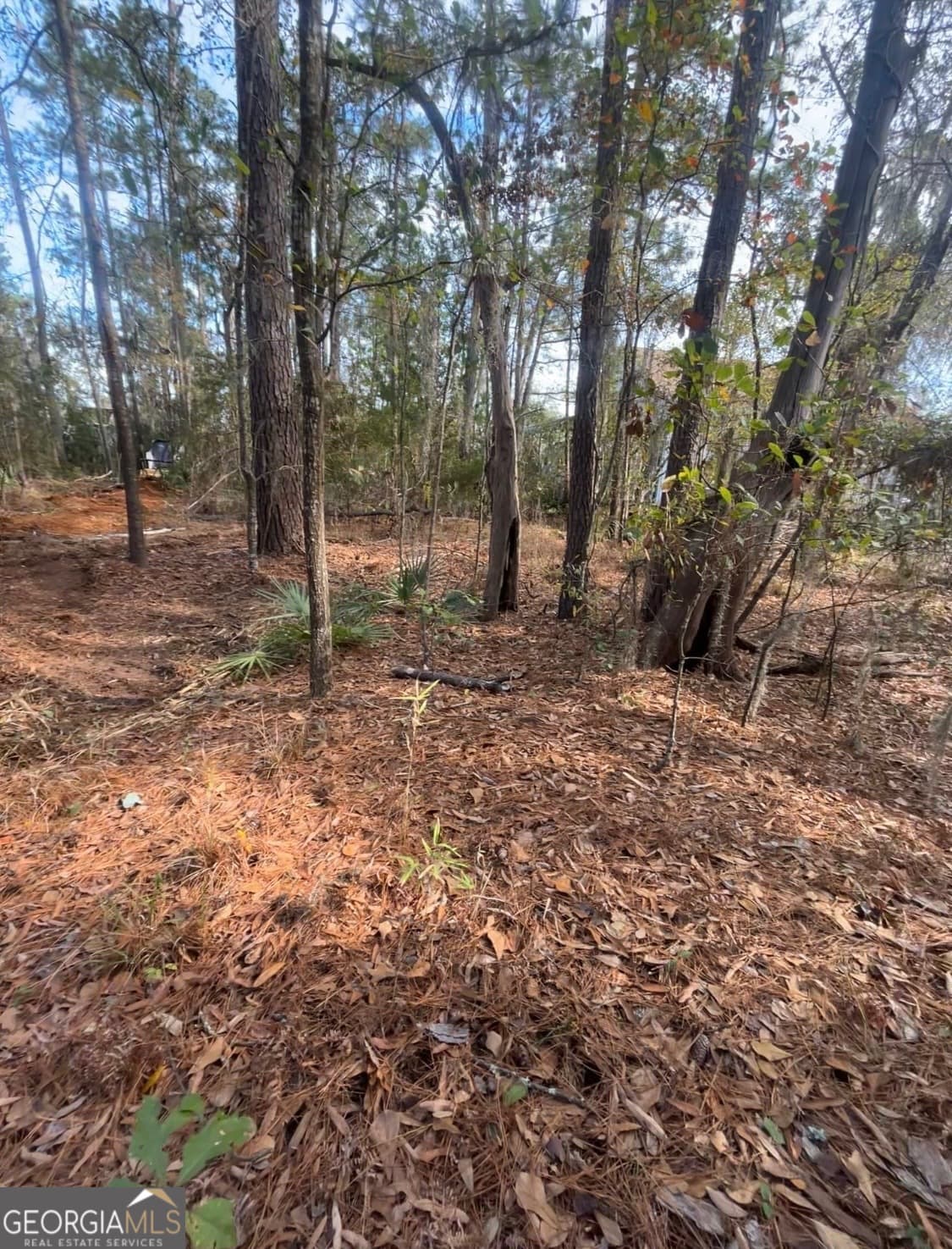 residential lot for sale at 0 Mallard Pond Road, Midway, GA 31320 — photo 6