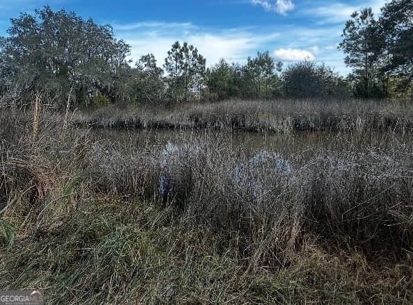 residential lot for sale at 0 Mallard Pond Road, Midway, GA 31320 — photo 1 of 6