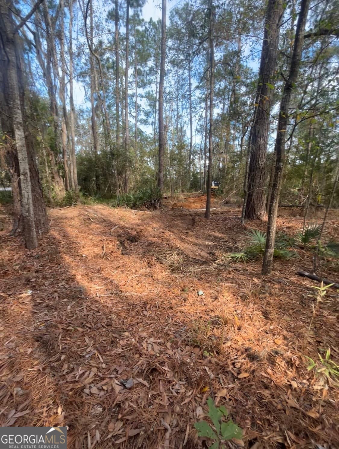 residential lot for sale at 0 Mallard Pond Road, Midway, GA 31320 — photo 5