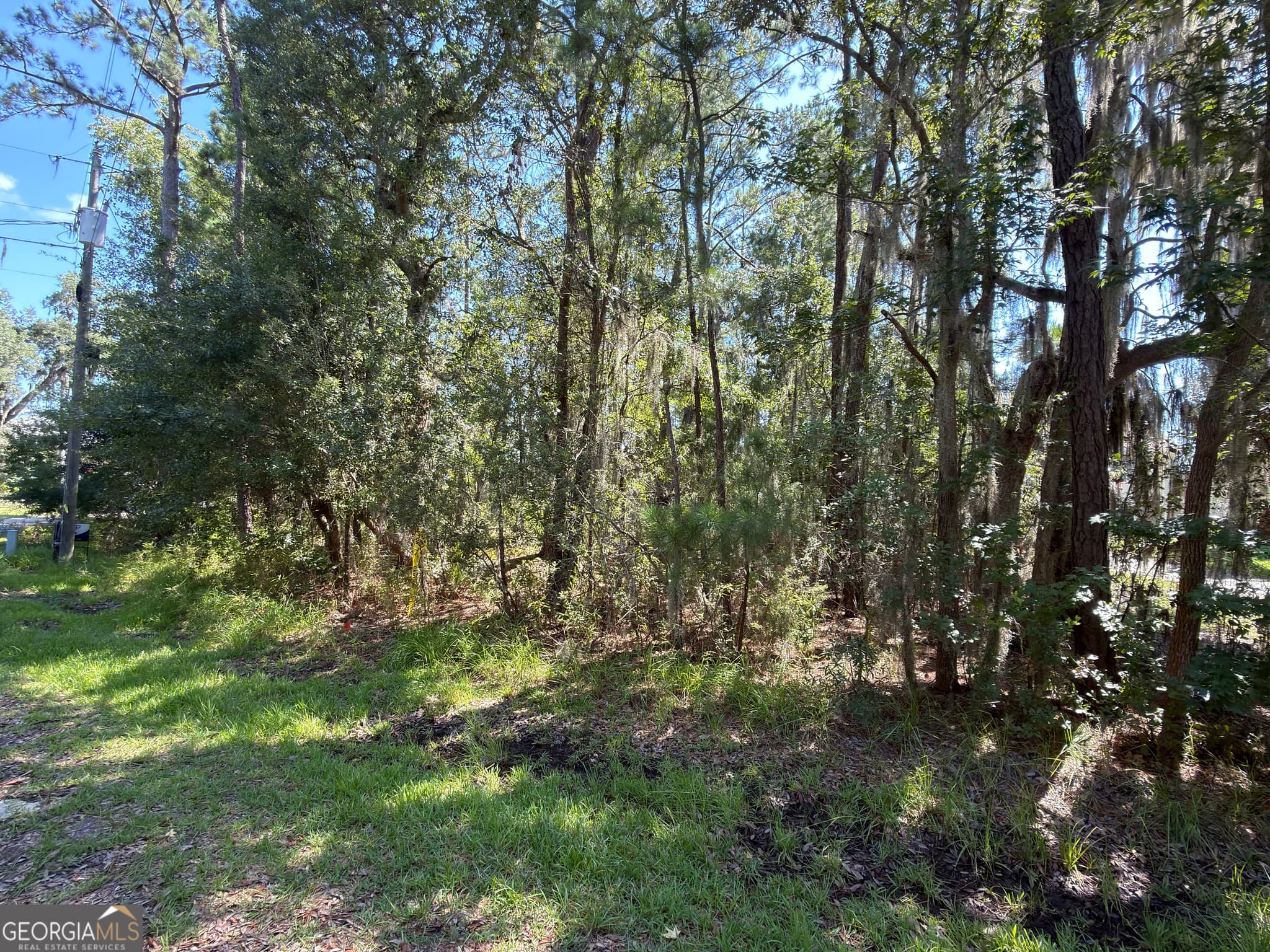 residential lot for sale at 0 Mallard Pond Road, Midway, GA 31320 — photo 4