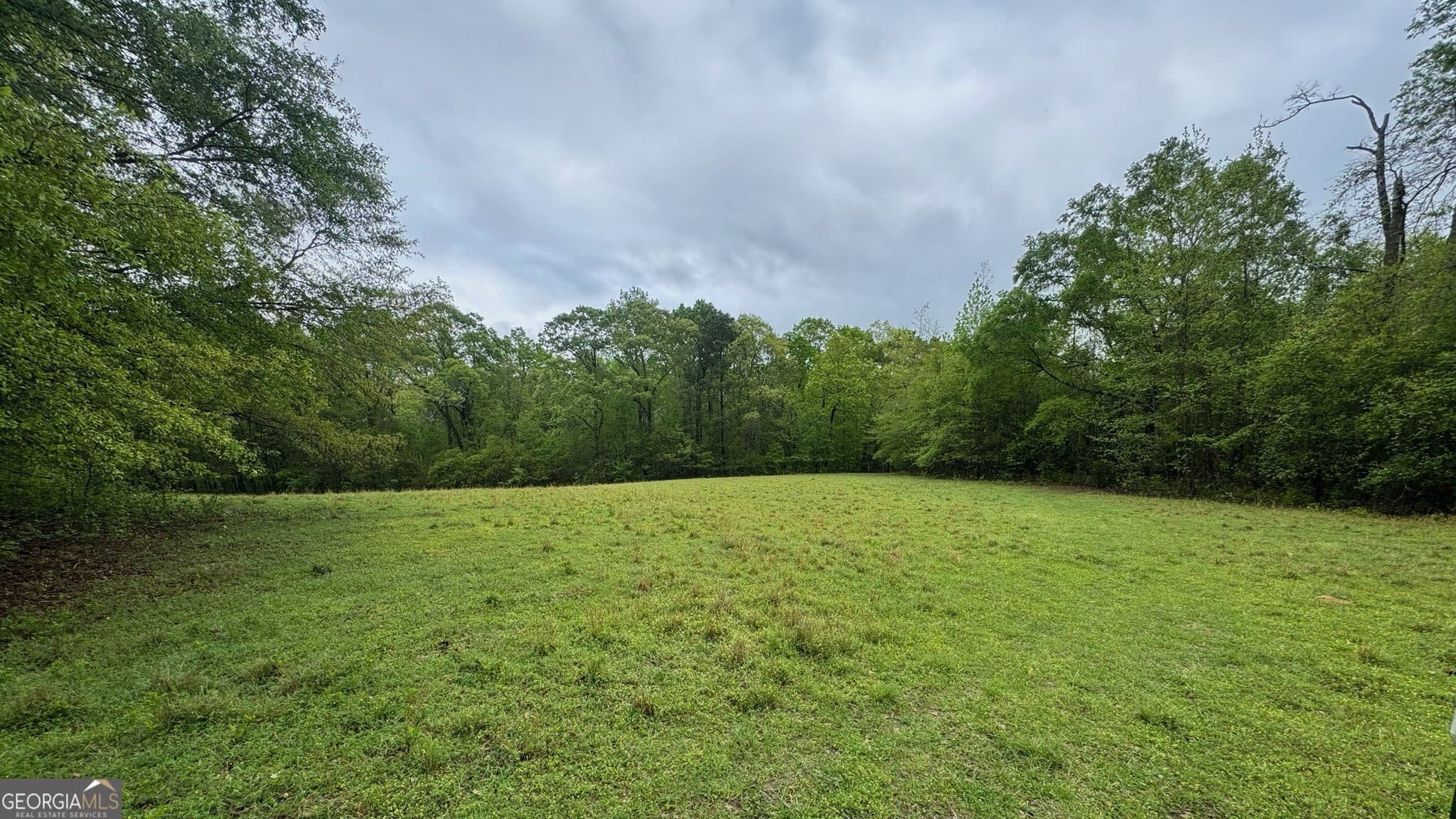 agriculture for sale at 48.04 ACRES Caldwell Road, Zebulon, GA 30295 — photo 6