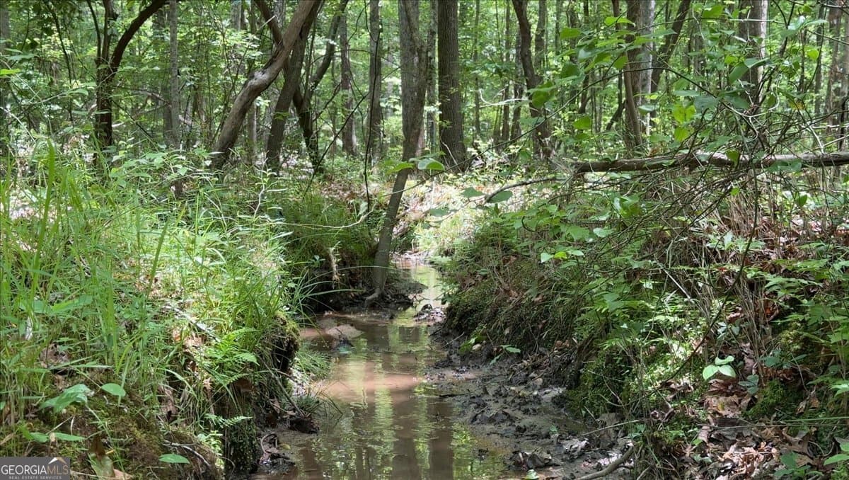 agriculture for sale at 48.04 ACRES Caldwell Road, Zebulon, GA 30295 — photo 7
