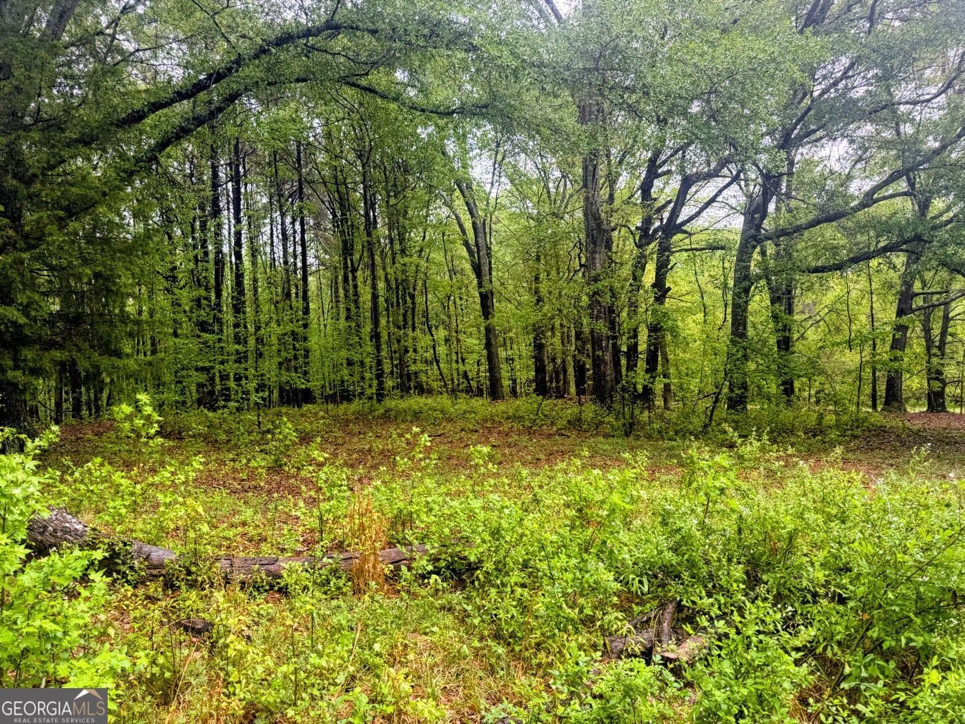 agriculture for sale at 48.04 ACRES Caldwell Road, Zebulon, GA 30295 — photo 3