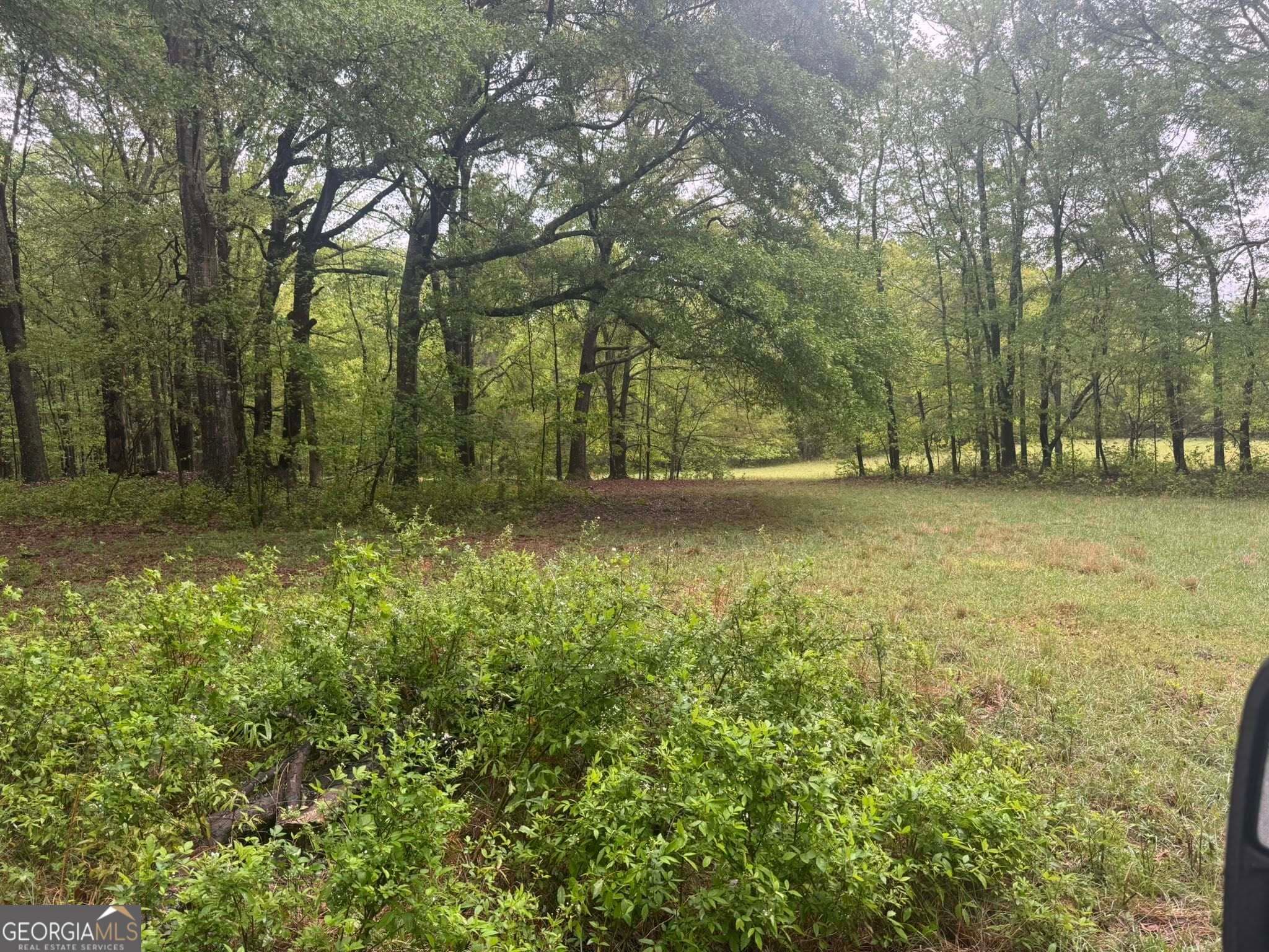 agriculture for sale at 48.04 ACRES Caldwell Road, Zebulon, GA 30295 — photo 5