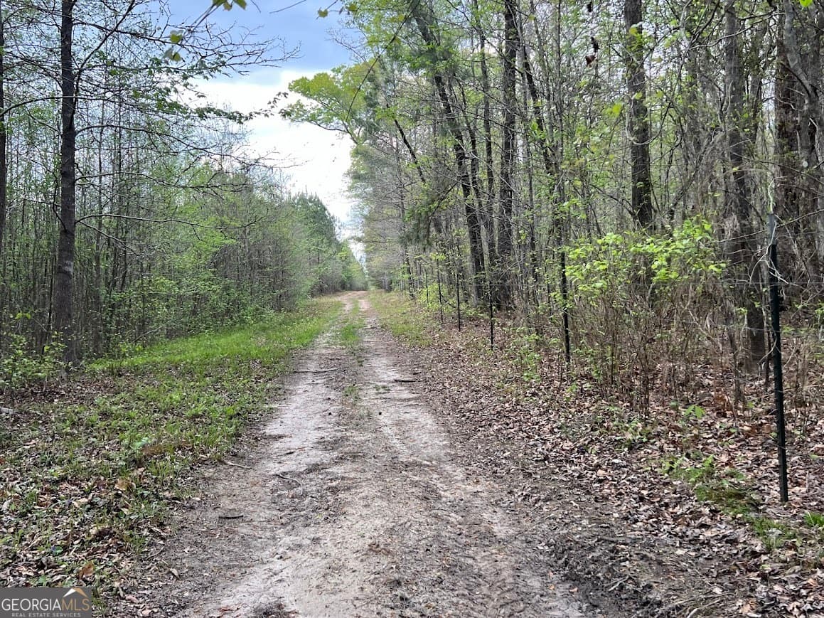 agriculture for sale at 48.04 ACRES Caldwell Road, Zebulon, GA 30295 — photo 9