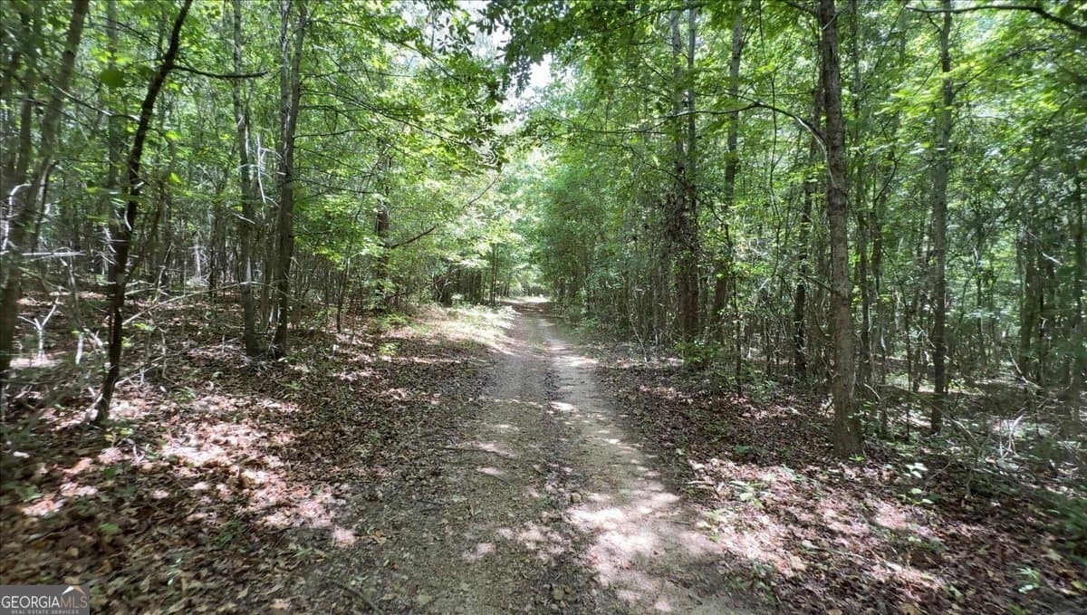 agriculture for sale at 48.04 ACRES Caldwell Road, Zebulon, GA 30295 — photo 10
