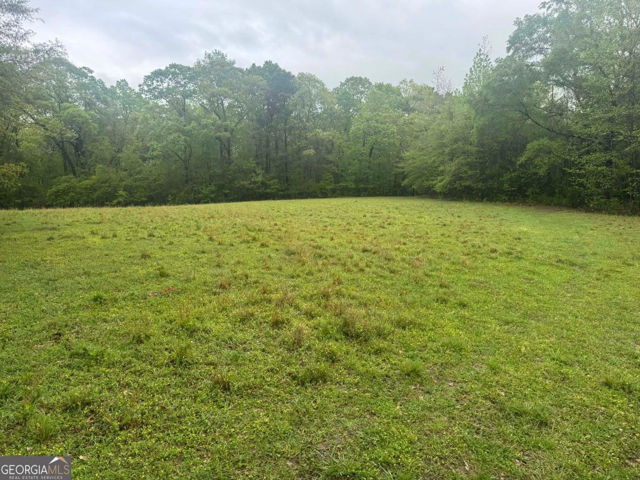 agriculture for sale at 48.04 ACRES Caldwell Road, Zebulon, GA 30295 — photo 4