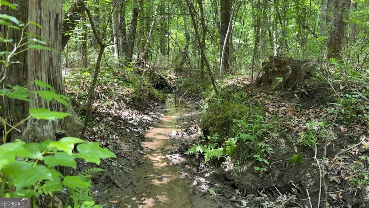 agriculture for sale at 48.04 ACRES Caldwell Road, Zebulon, GA 30295 — photo 8