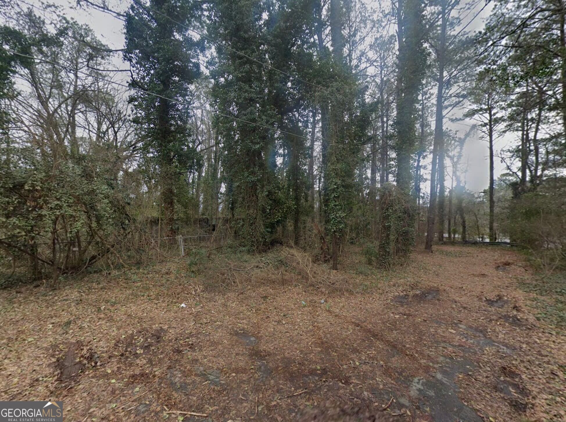 unimproved land for sale at 2320 Park Way, Atlanta, GA 30315 — photo 2
