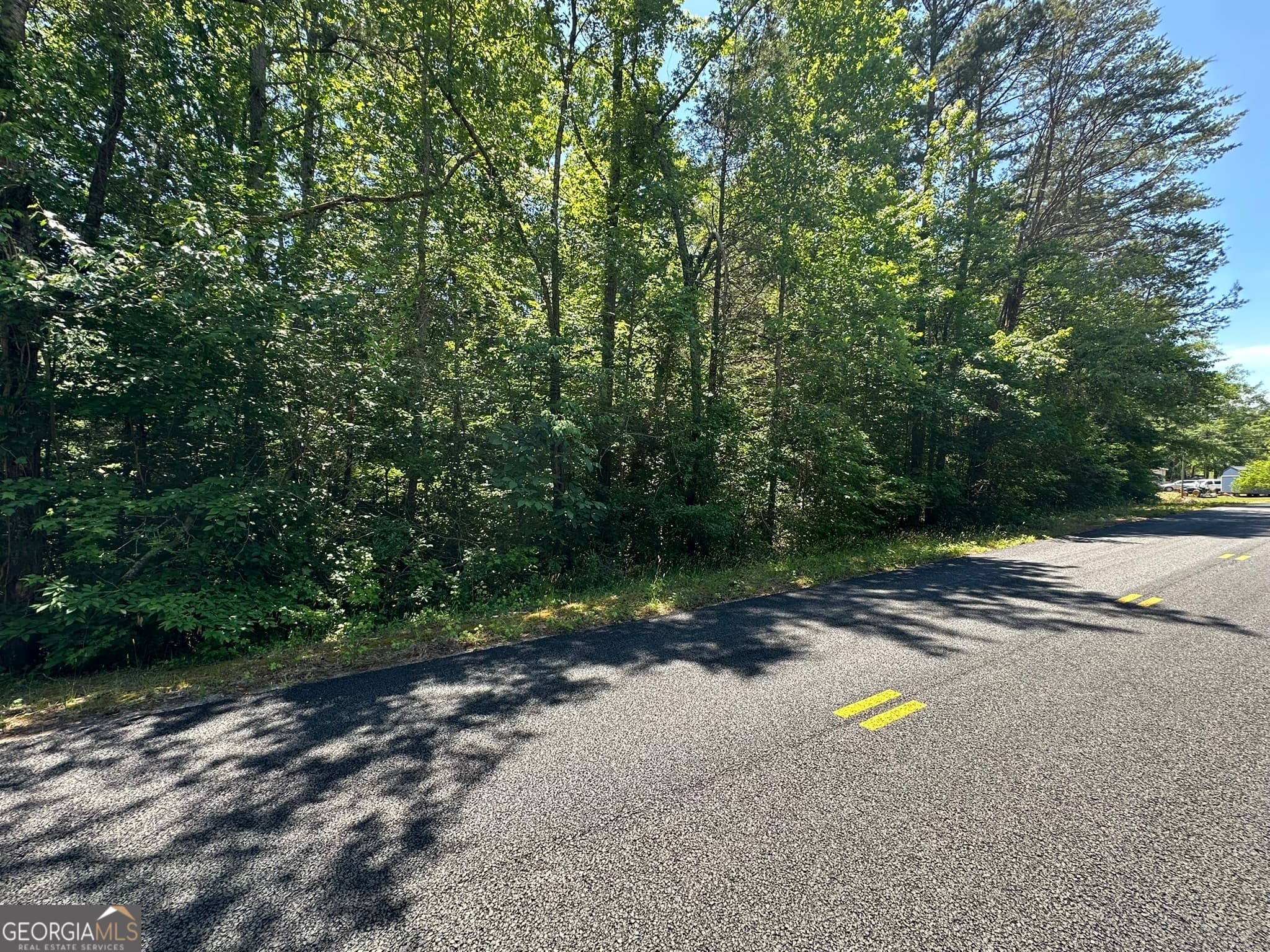 residential lot for sale at 38 S Century Drive, Martin, GA 30557 — photo 2