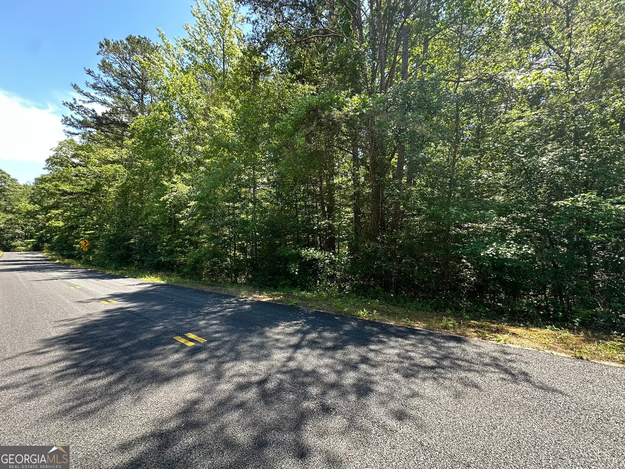 residential lot for sale at 38 S Century Drive, Martin, GA 30557 — photo 1 of 3