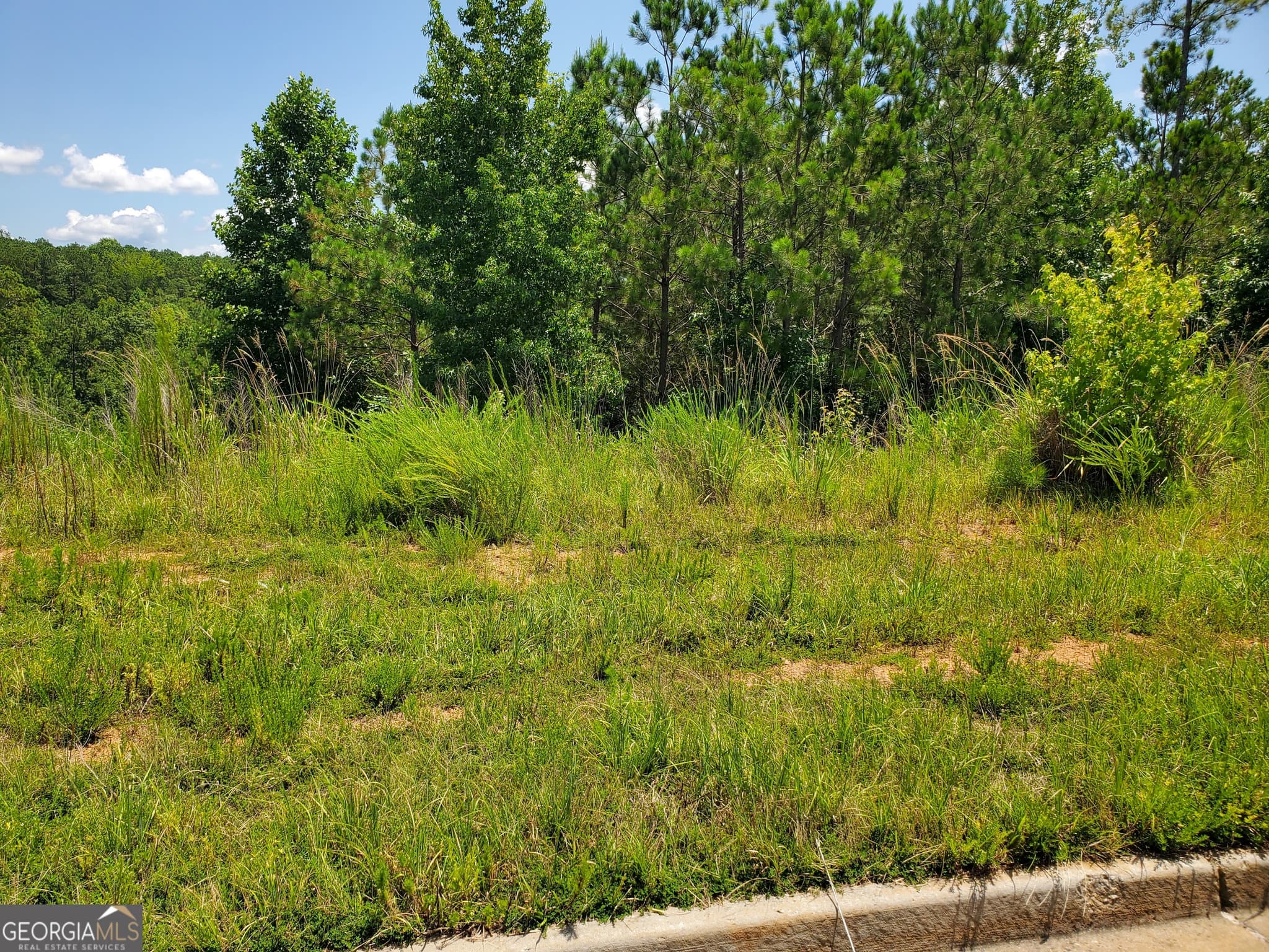 residential lot for sale at 0 Green Terrace, Newnan, GA 30265 — photo 2