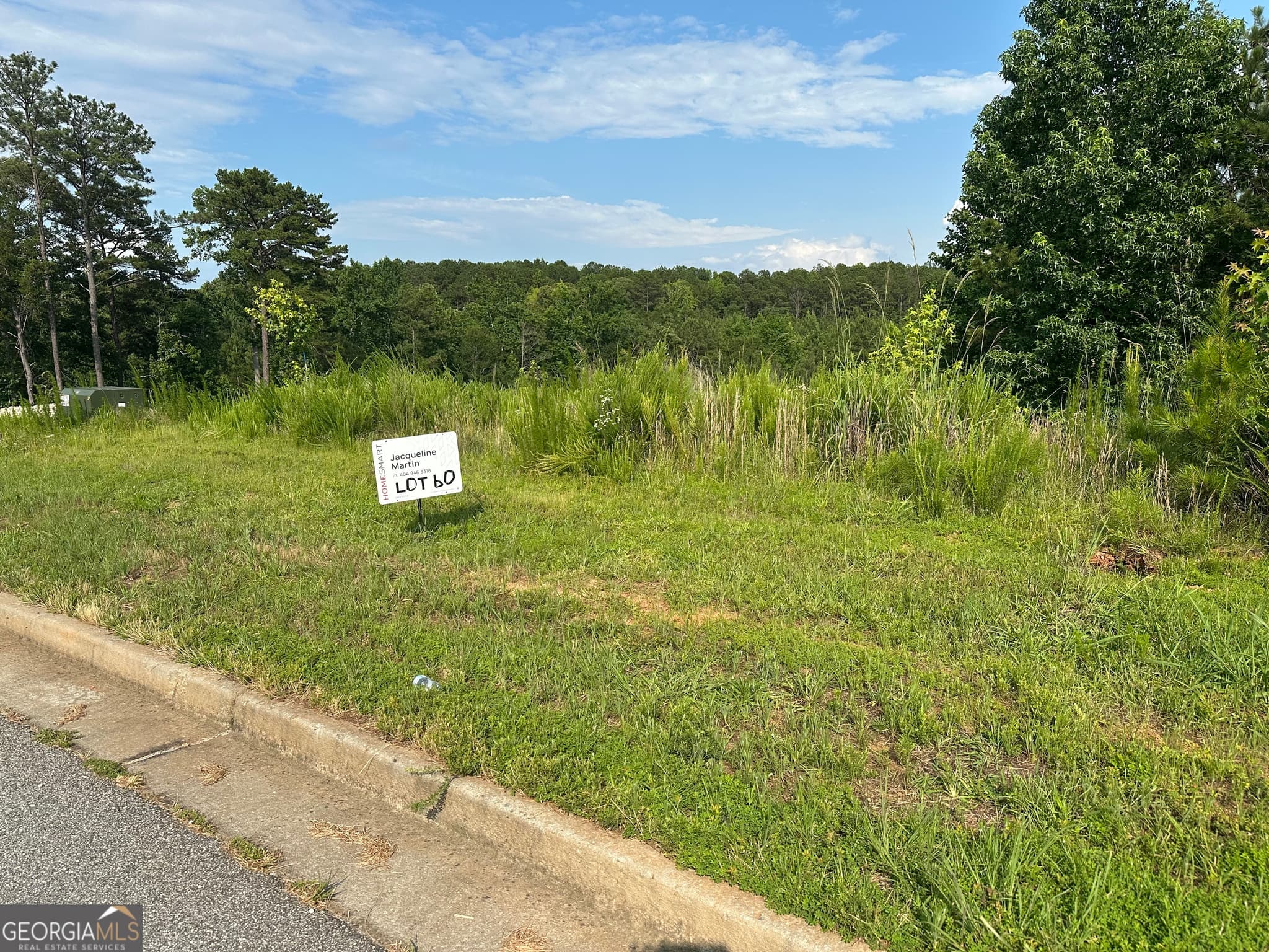 residential lot for sale at 0 Green Terrace, Newnan, GA 30265 — photo 3