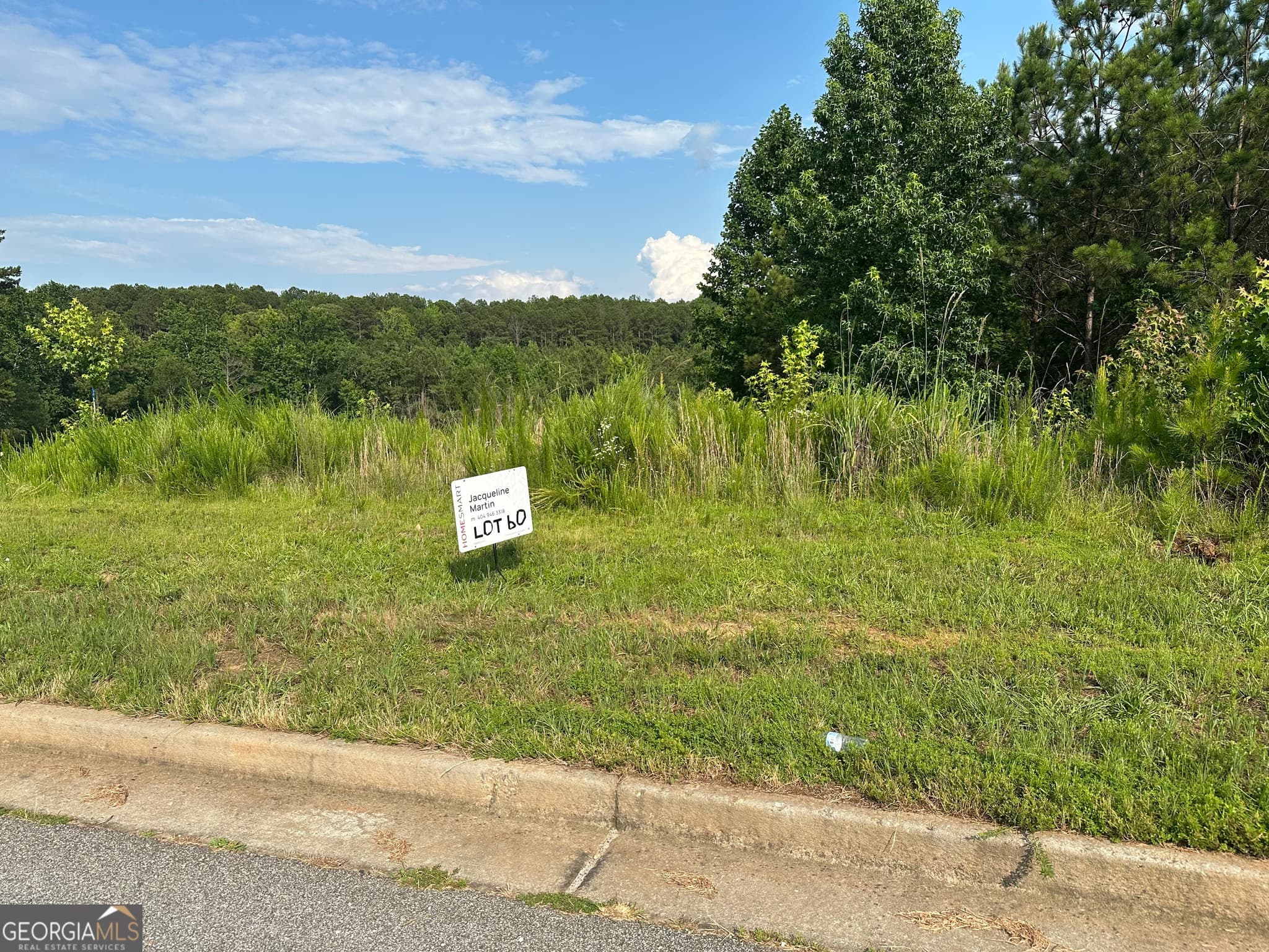 residential lot for sale at 0 Green Terrace, Newnan, GA 30265 — photo 4