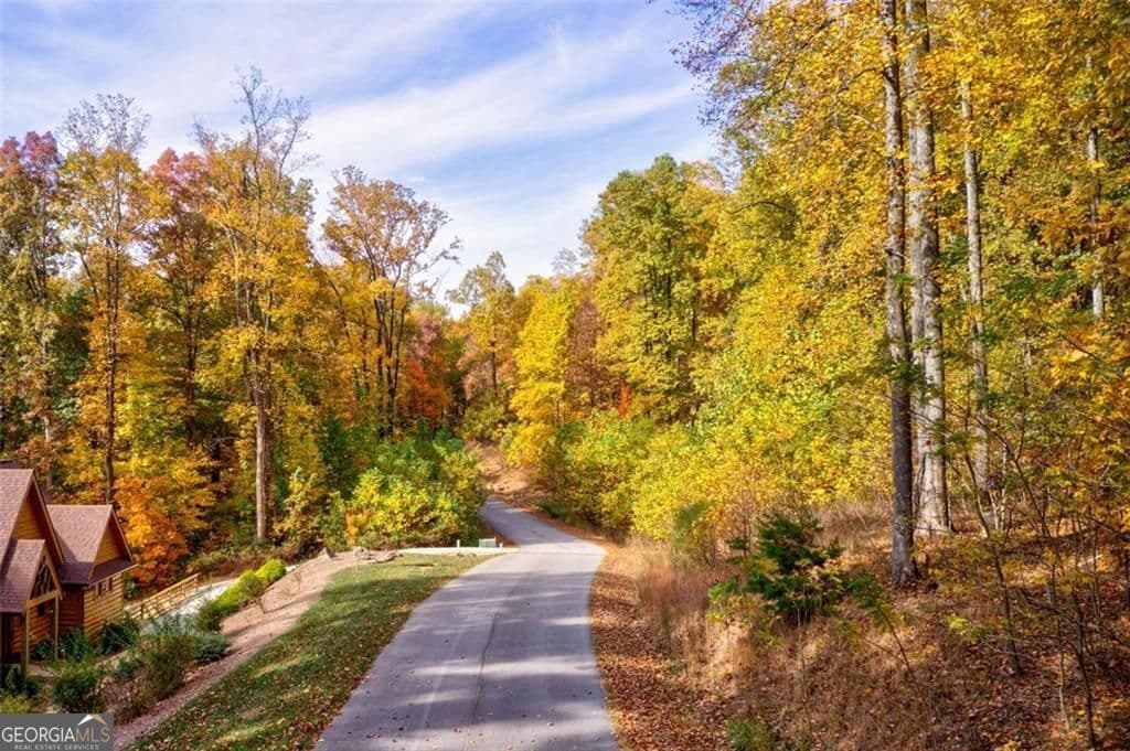 unimproved land for sale at 228 Stone Cliff Trace, Cleveland, GA 30528 — photo 10