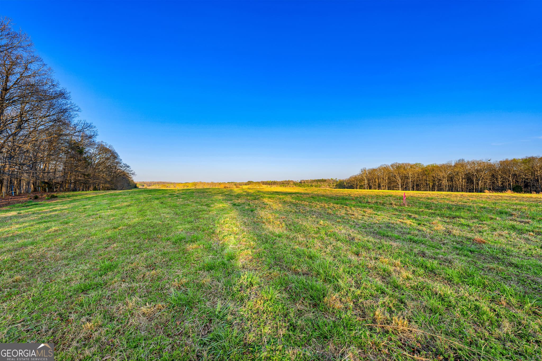 residential lot for sale at 6 Legacy Lane, Hartwell, GA 30643 — photo 3