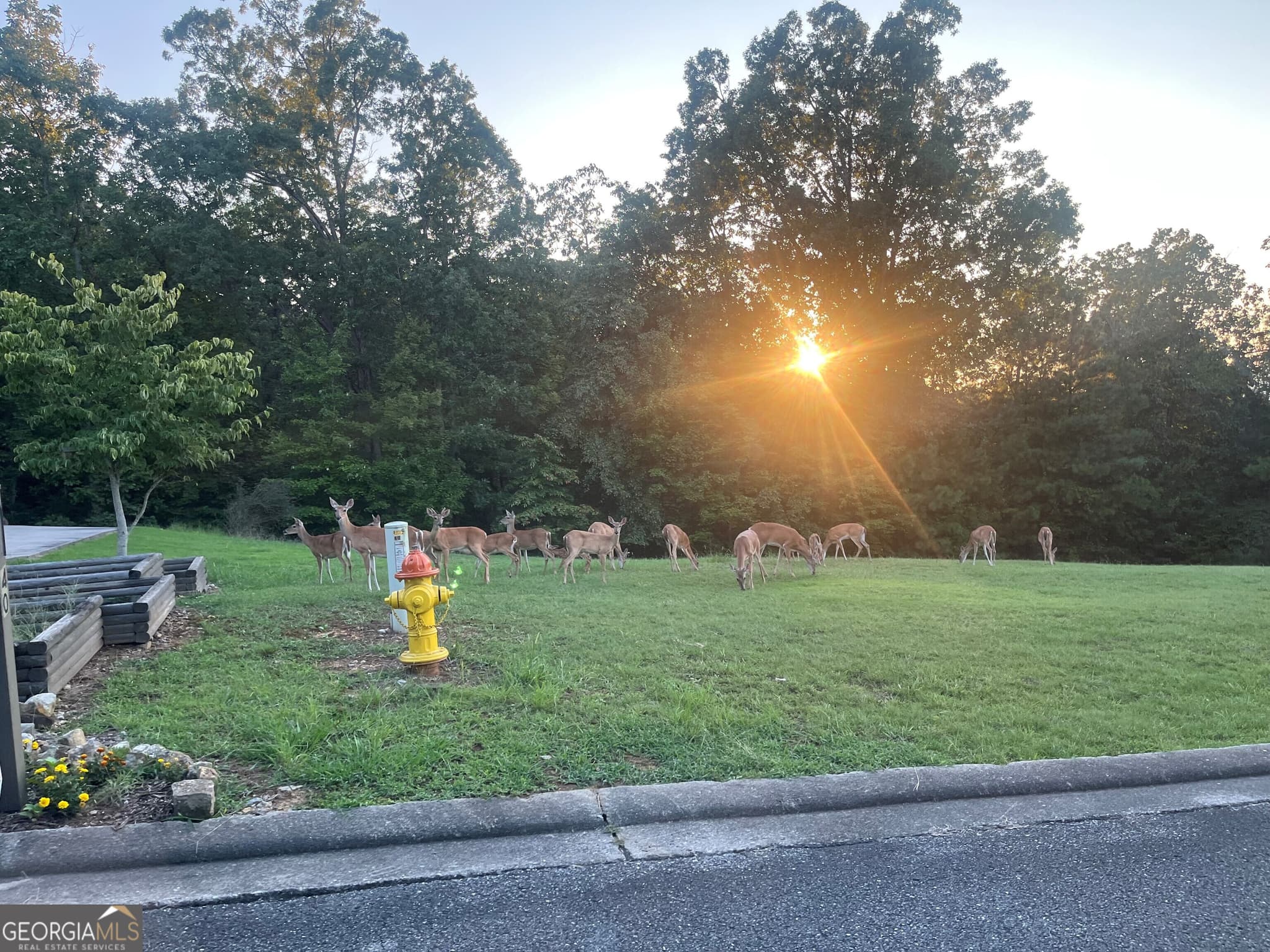 residential lot for sale at 55 Mountain Crest Drive, Rome, GA 30165 — photo 4