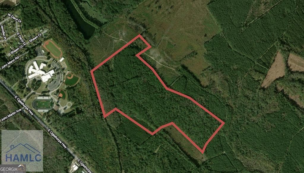 agriculture for sale at 105 McIntosh Lake Road, Hinesville, GA 31313 — photo 1 of 2