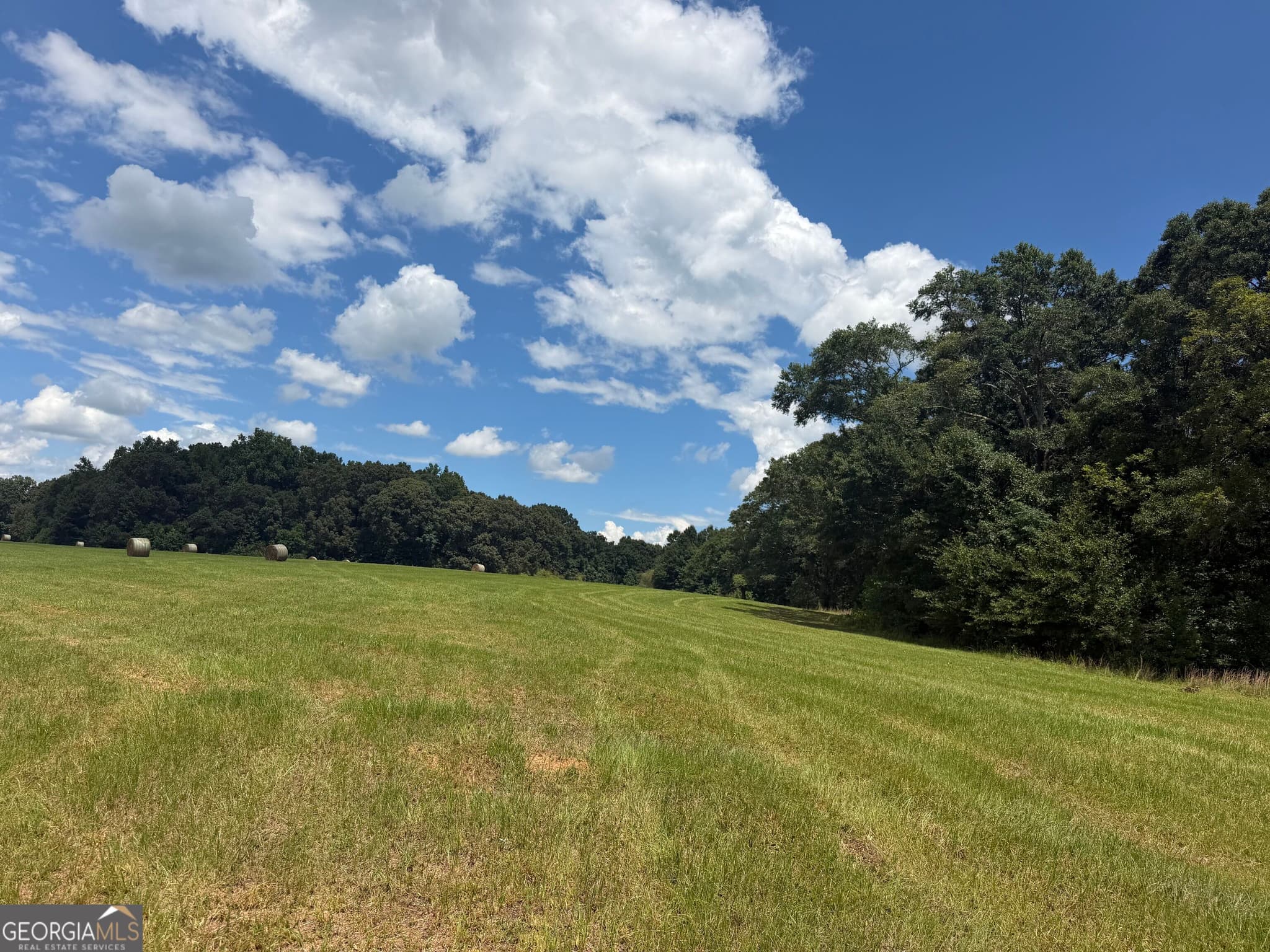 agriculture for sale at 500 Marks Road, Mansfield, GA 30055 — photo 6