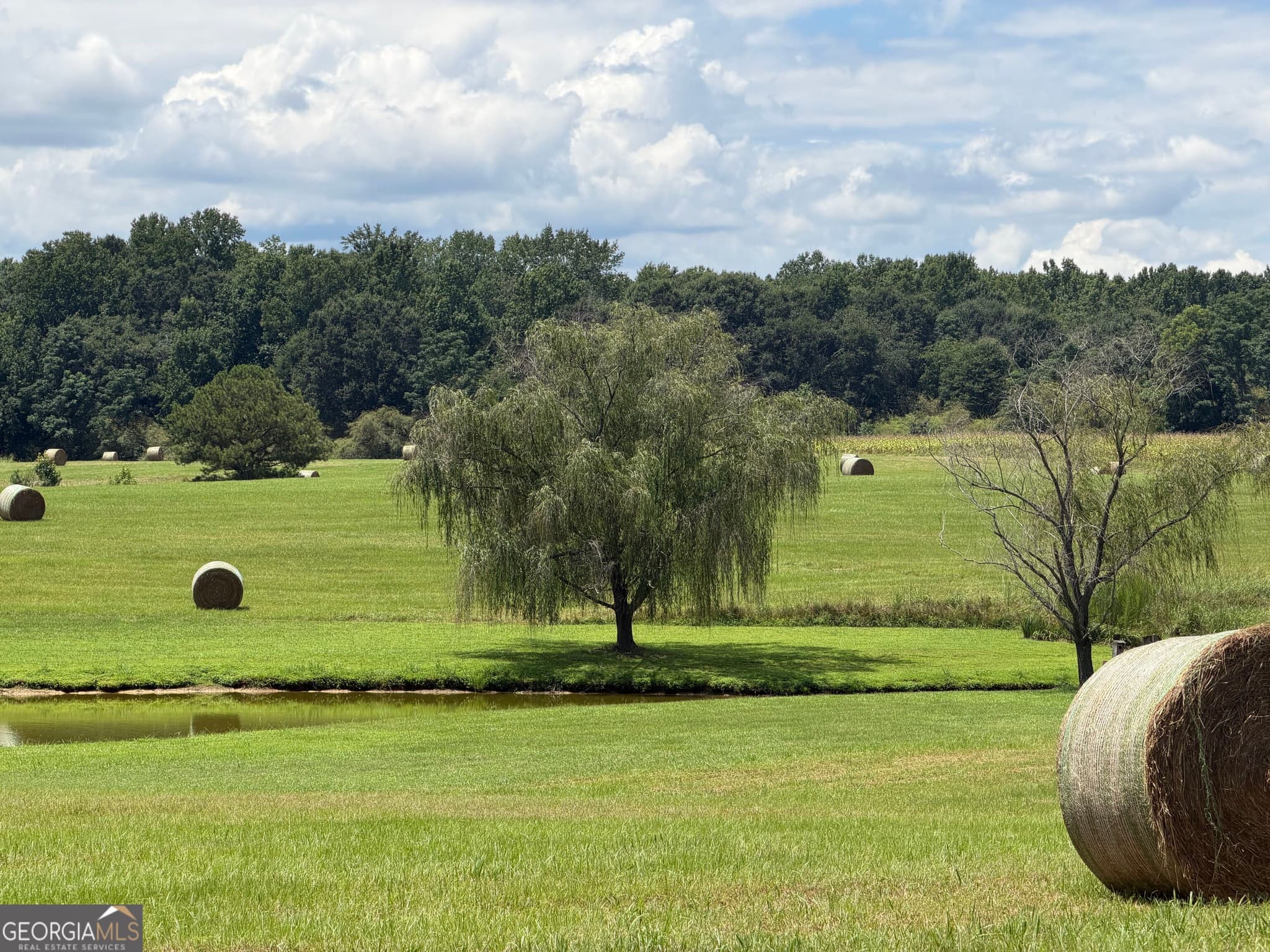 agriculture for sale at 500 Marks Road, Mansfield, GA 30055 — photo 7