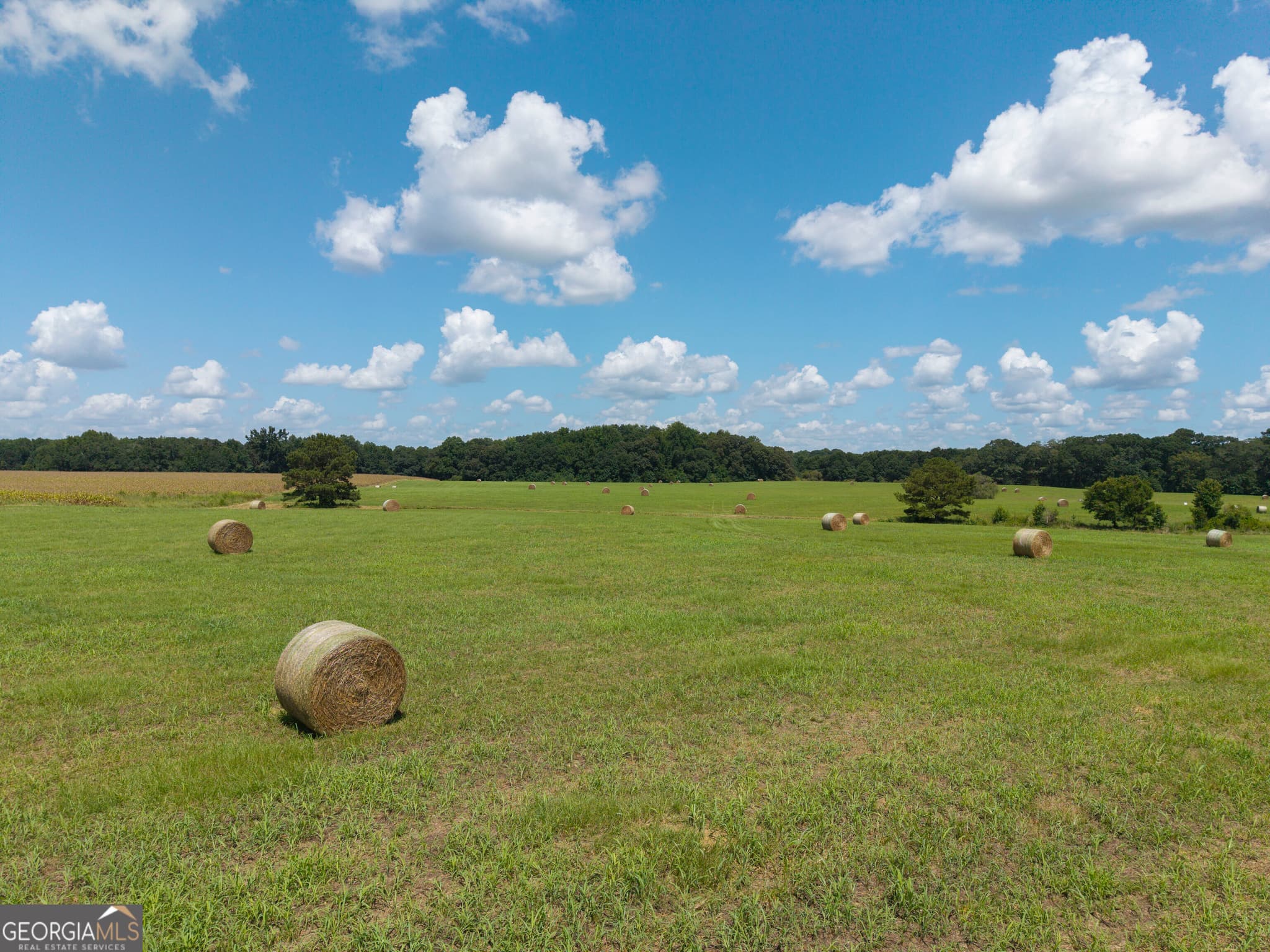 agriculture for sale at 500 Marks Road, Mansfield, GA 30055 — photo 5