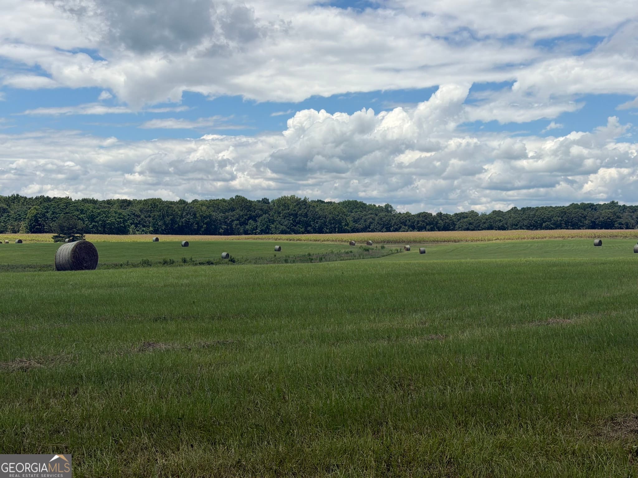 agriculture for sale at 500 Marks Road, Mansfield, GA 30055 — photo 9