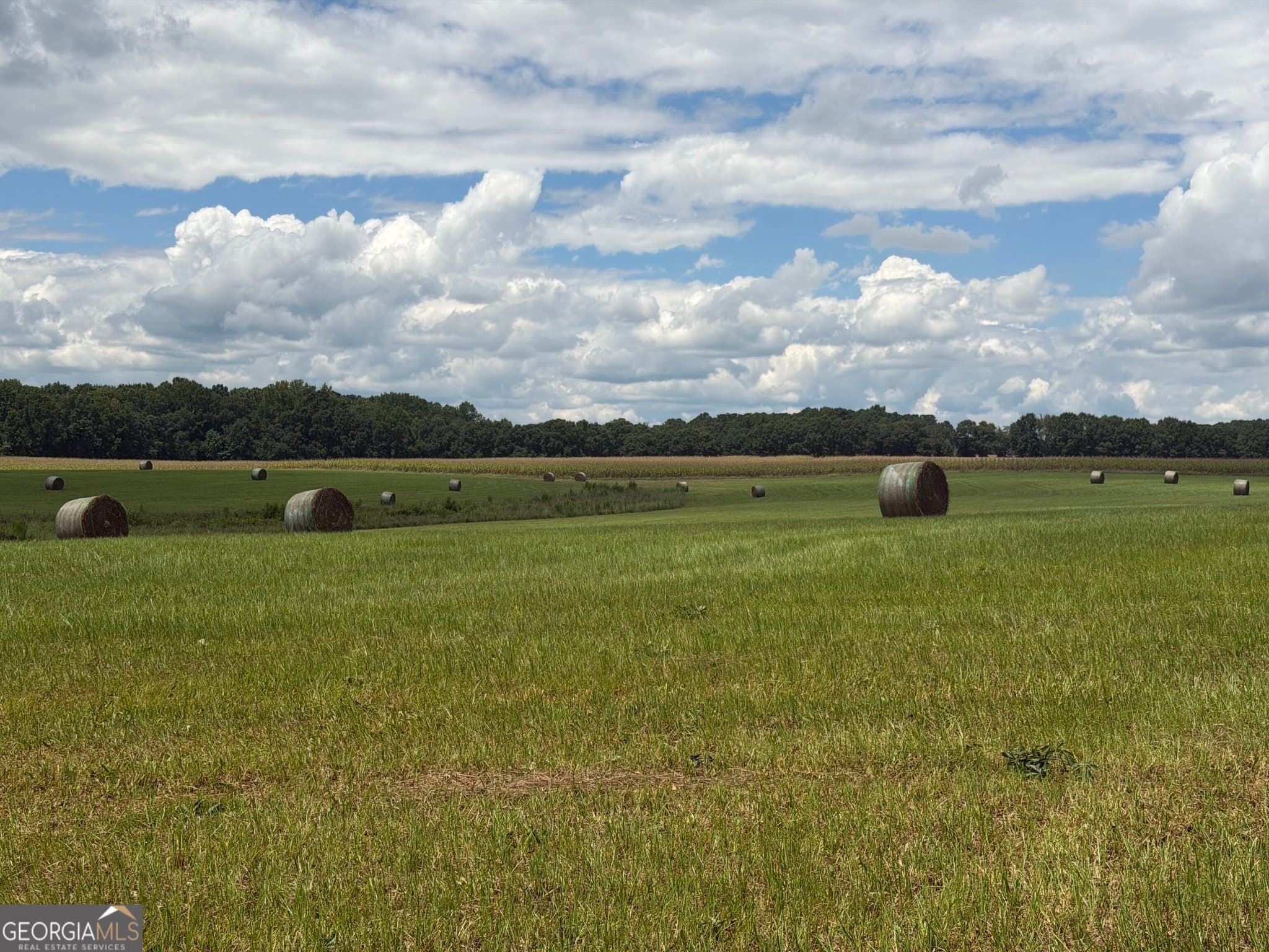 agriculture for sale at 500 Marks Road, Mansfield, GA 30055 — photo 10