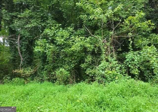 residential lot for sale at 0 Clemmons Drive, Ellenwood, GA 30294 — photo 1 of 1