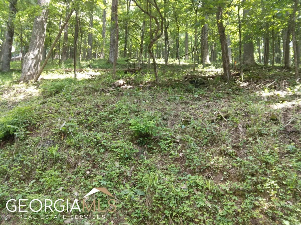 residential lot for sale at M213 Walnut Ridge M213, Ellijay, GA 30540 — photo 2