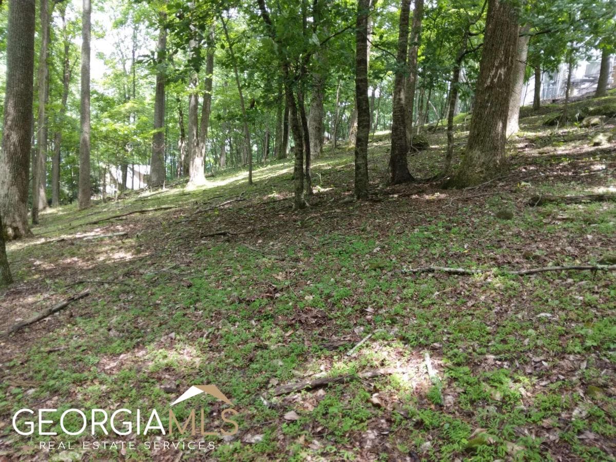 residential lot for sale at M213 Walnut Ridge M213, Ellijay, GA 30540 — photo 6