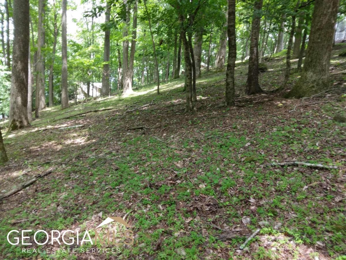 residential lot for sale at M213 Walnut Ridge M213, Ellijay, GA 30540 — photo 7